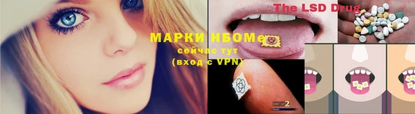 сатива Алексеевка