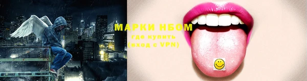 мяу мяу мука Алзамай