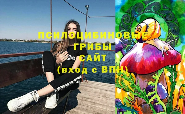 сатива Алексеевка