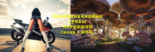 сатива Алексеевка